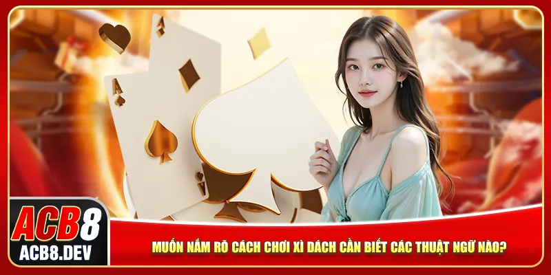 Muốn nắm rõ cách chơi xì dách cần biết các thuật ngữ nào? Muốn nắm rõ cách chơi xì dách cần biết các thuật ngữ nào?