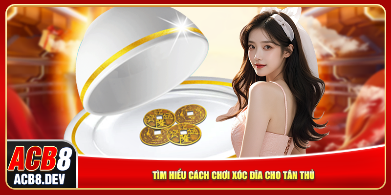Tìm hiểu cách chơi xóc đĩa cho tân thủ Tìm hiểu cách chơi xóc đĩa cho tân thủ