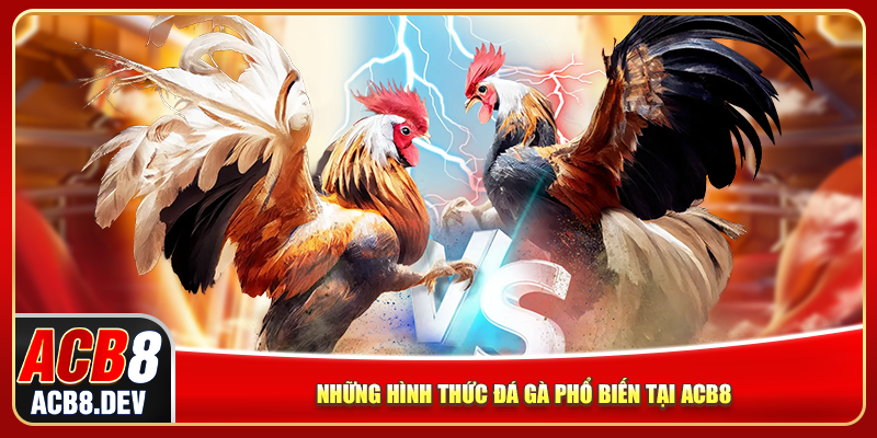 Những hình thức đá gà phổ biến tại ACB8 Những hình thức đá gà phổ biến tại ACB8